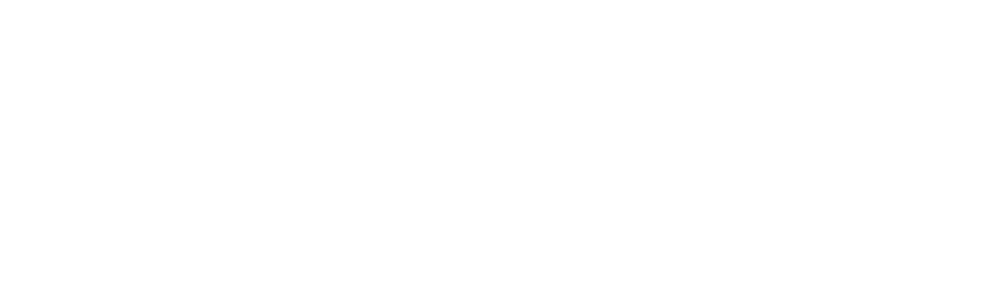 TEIMSA